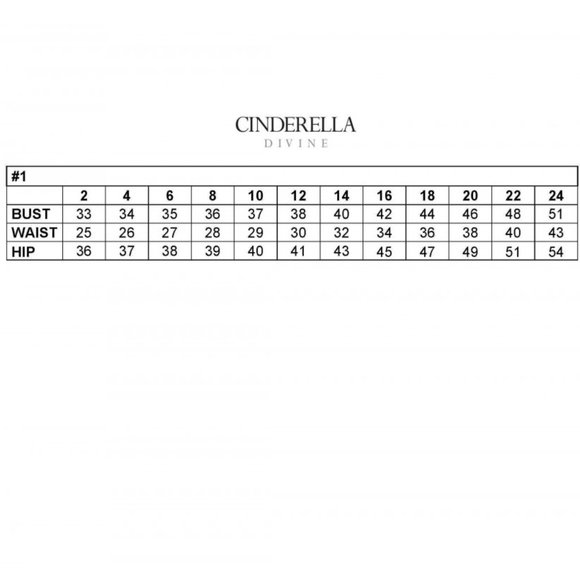 NEW SATIN LONG SHEATH ELEGANT GOWN WITH BLOUSON SLEEVES AND ZIPPER BACK CD 7478C - Picture 3 of 10